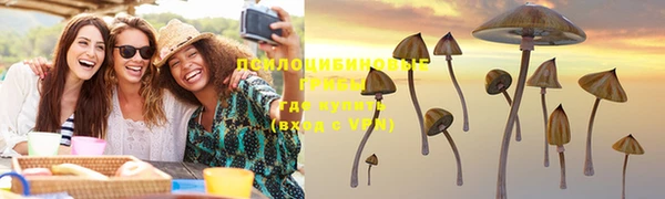 ГАЛЛЮЦИНОГЕННЫЕ ГРИБЫ Новодвинск
