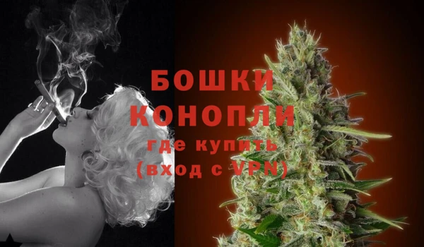 твердый Нефтегорск