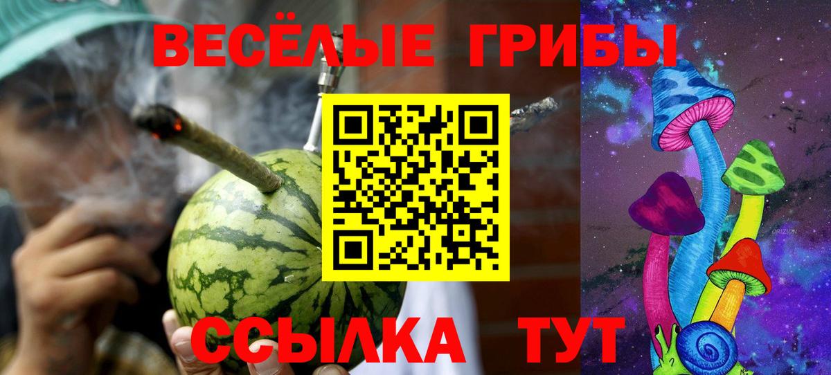 Псилоцибиновые грибы мухоморы Кашира